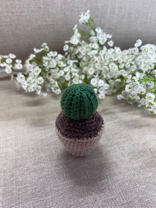 Cactus en crochet